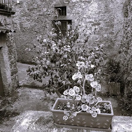 Apartmán Casa Di Marco Riccò del Golfo di Spezia
